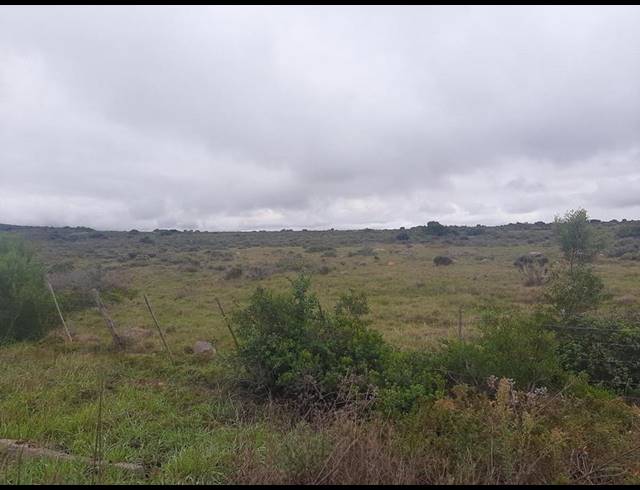 FARM FOR SALE IN MOSSEL BAY RURAL